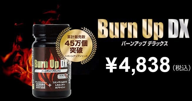 Burn Up DX バーンアップ デラックス ¥4,298（税込）