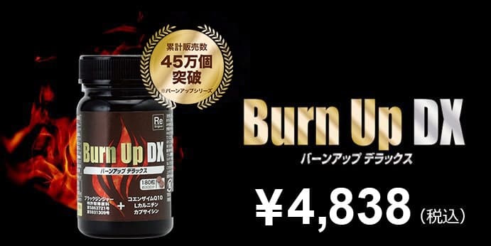 Burn Up DX バーンアップ デラックス ¥4,298（税込）
