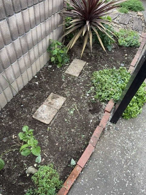 根こそぎ