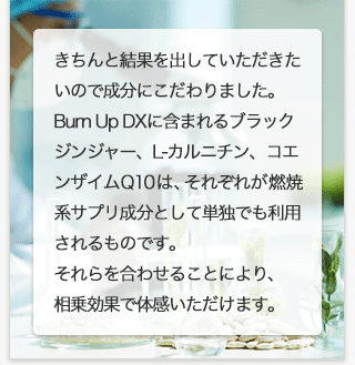 きちんと結果を出していただきたいので成分にこだわりました。Burn Up DXに含まれるブラックジンジャー、L-カルニチン、コエンザイムQ10は、それぞれが燃焼系サプリ成分として単独でも利用されるものです。それらを合わせることにより、相乗効果で体感いただけます。