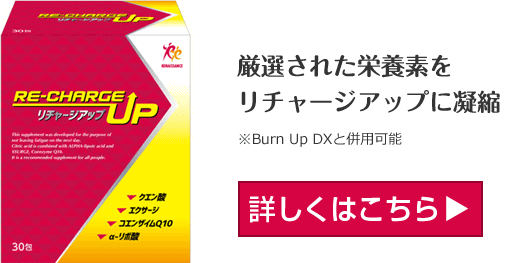 厳選された栄養素をリチャージアップに凝縮※Burn Up DXと併用可能