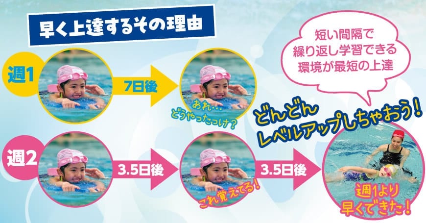 週2回オススメ