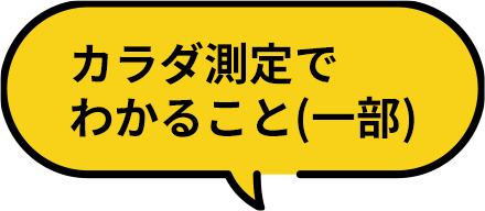 カラダ測定でわかること（一部）