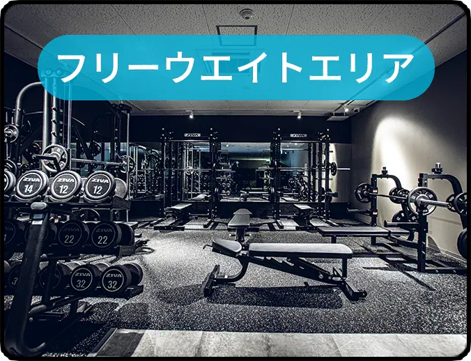 フリーウエイトエリア