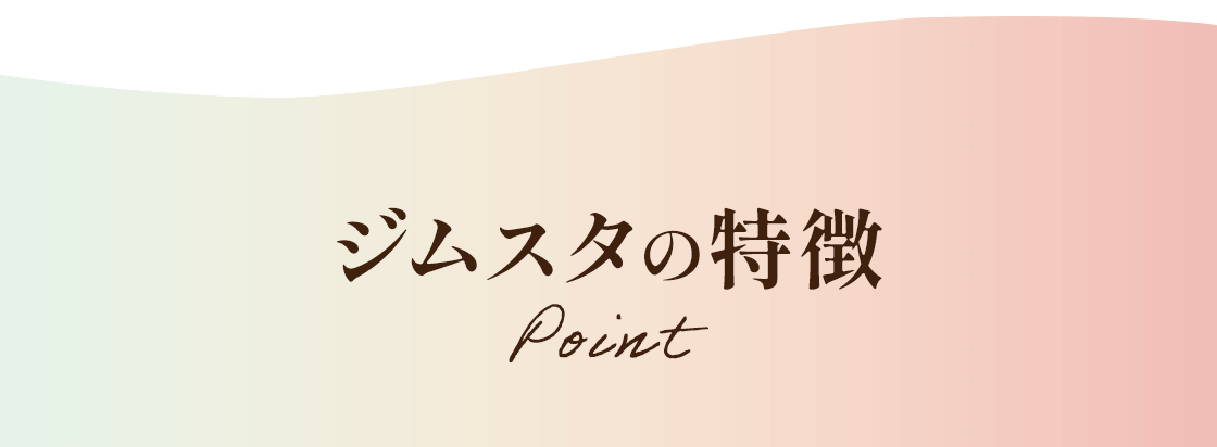 ジムスタの特徴