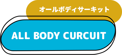 ALL BODY CURCUIT