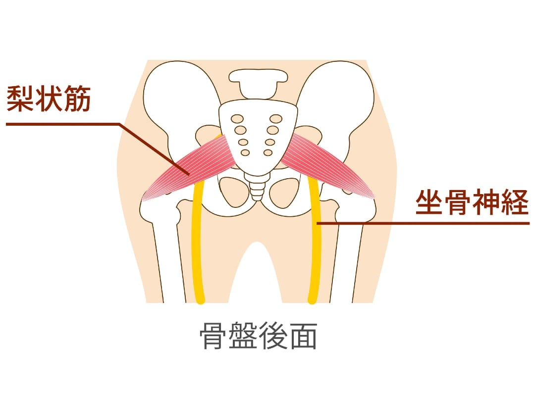 イメージ画像