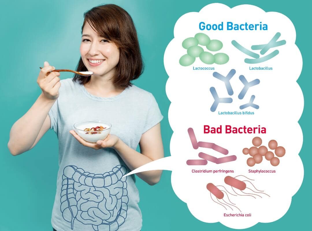 毎日の食事に取り入れたい腸内環境を整える発酵食品のススメ