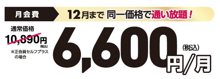 12月まで同一価格で通い放題。6,600円