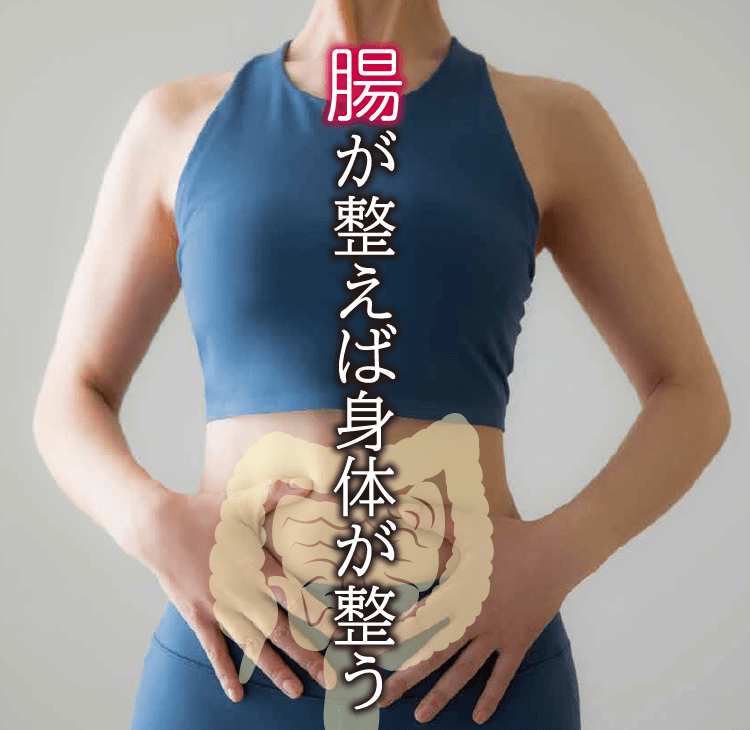 腸が整えば身体が整う