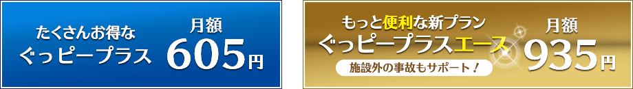 ぐっピープラス月額594円 / ぐっピープラスエース 月額918円